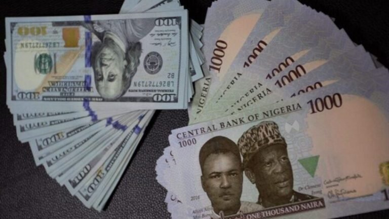 Image of Naira and Dollar notes