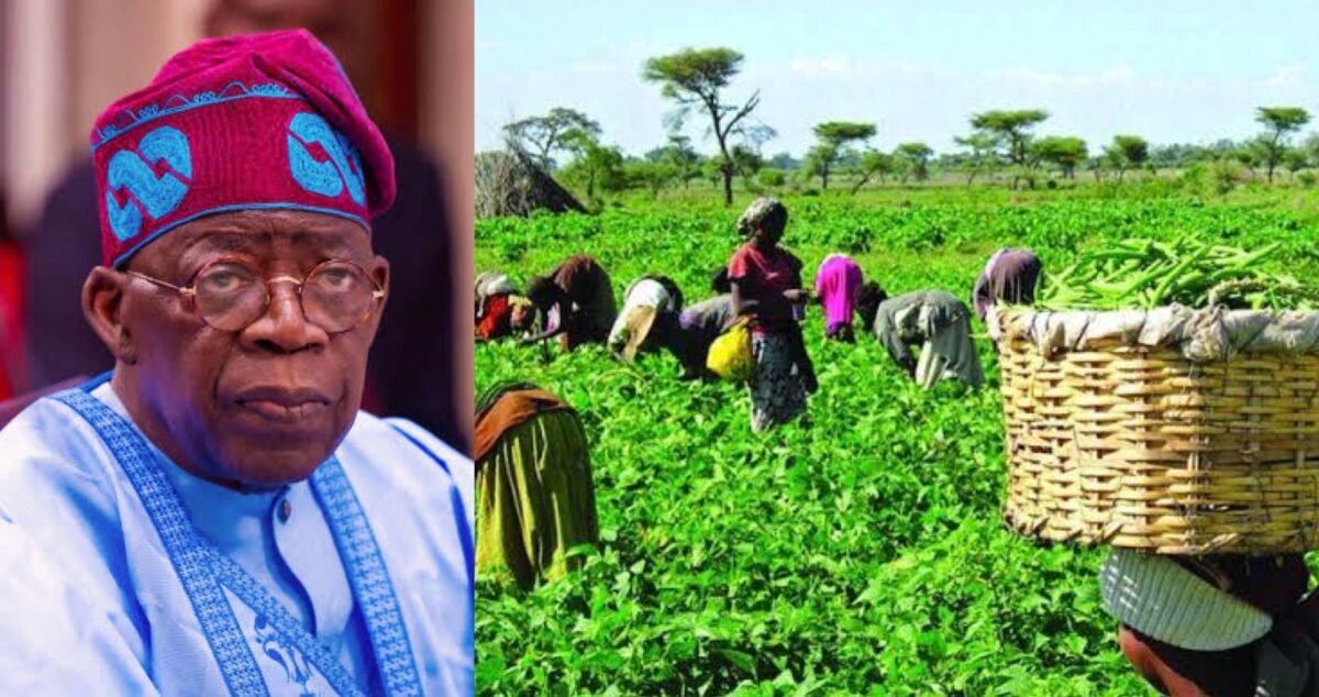 Tinubu Boost Agriculture