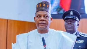 Vice president Kashim Shettima